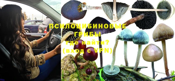 крисы Алексеевка
