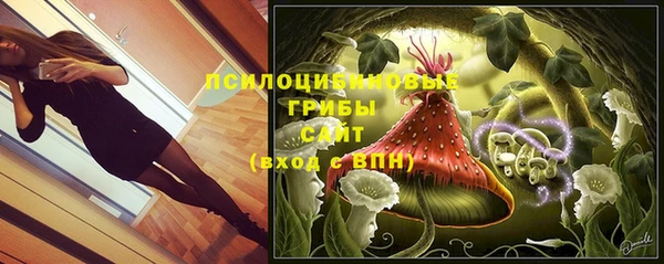 крисы Алексеевка