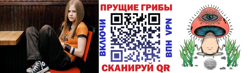Псилоцибиновые грибы Psilocybe  как найти закладки  ОМГ ОМГ сайт  Дмитриев 