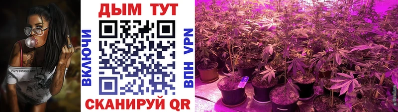 купить  сайты  Дмитриев  МАРИХУАНА Bruce Banner 
